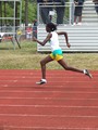 DSCF0443 (384x512, 53.9 kilobytes)