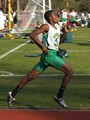 DSCF2536 (384x512, 50.3 kilobytes)