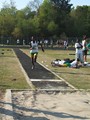 DSCF0071 (384x512, 71.3 kilobytes)